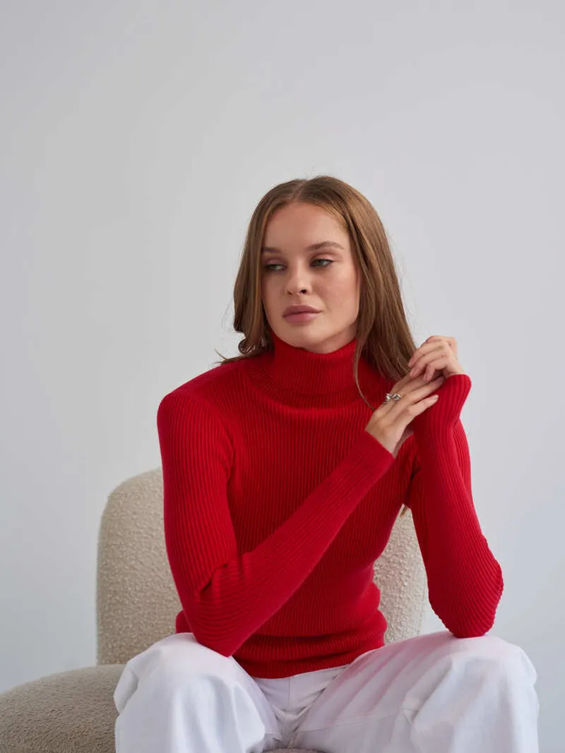 Alice Turtleneck Women Sweater