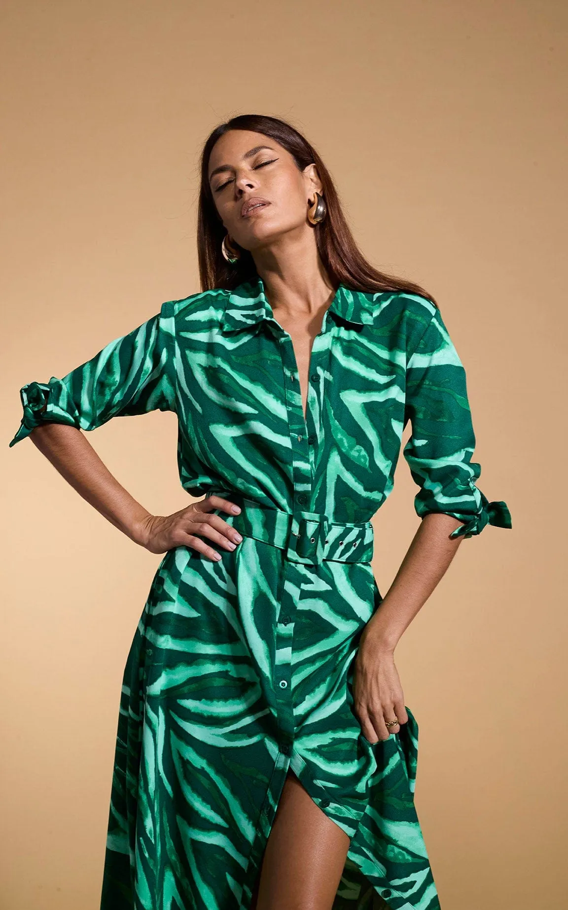 Dove Dress In Green Painted Zebra