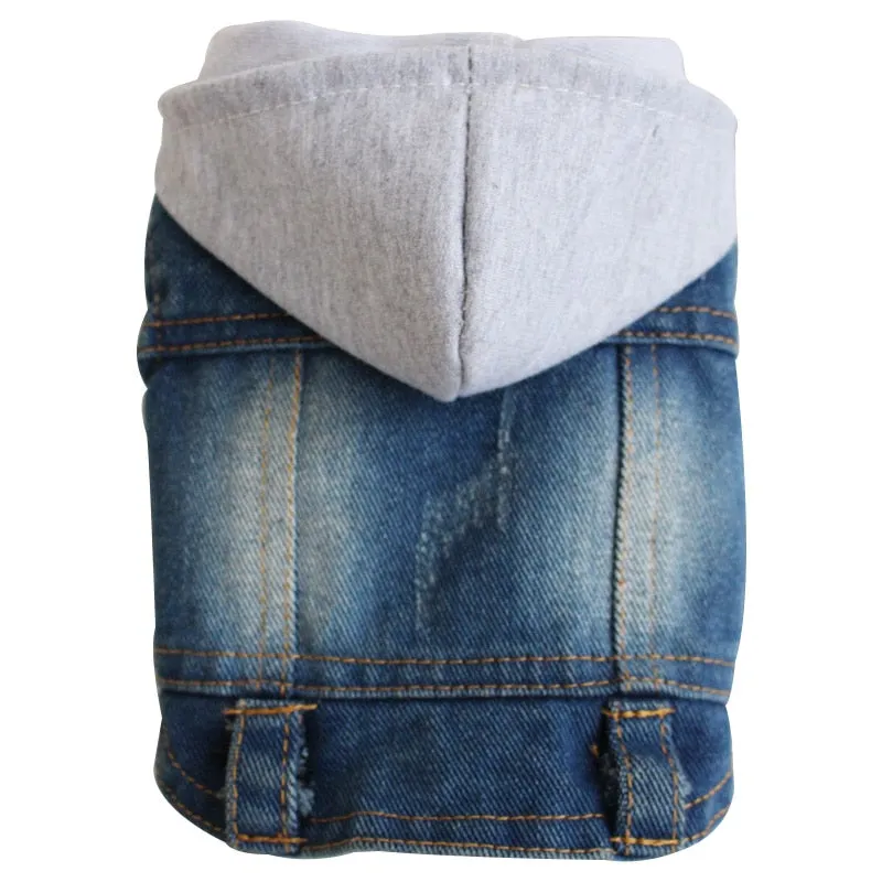 Trendy Denim Jacket